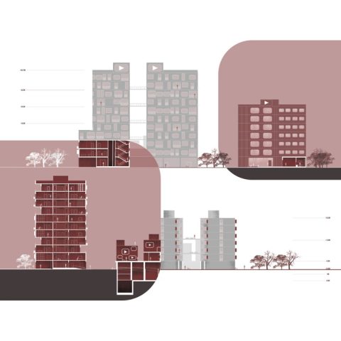 Lorem ipsum dolor sit amet consectetur.